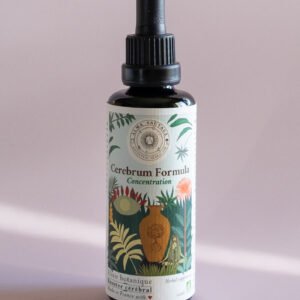 Booster cérébral Complément Alimentaire Concentration Elixir végétal cognitif Clarté mentale Mémoire Complexe Nootropique, gotu kola Centella asiatica brahmi Bacopa monnieri jiaogulan herbe de l'immortalité Gynostemma pentaphyllum tulsi basilic sacré Ocimum tenuiflorum sauge officinale Salvia officinalis sauge sclarée Salvia sclarea toronjil Mélisse Melissa officinalis