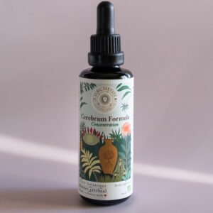 Booster cérébral Complément Alimentaire Concentration Elixir végétal cognitif Clarté mentale Mémoire Complexe Nootropique, gotu kola Centella asiatica brahmi Bacopa monnieri jiaogulan herbe de l'immortalité Gynostemma pentaphyllum tulsi basilic sacré Ocimum tenuiflorum sauge officinale Salvia officinalis sauge sclarée Salvia sclarea toronjil Mélisse Melissa officinalis