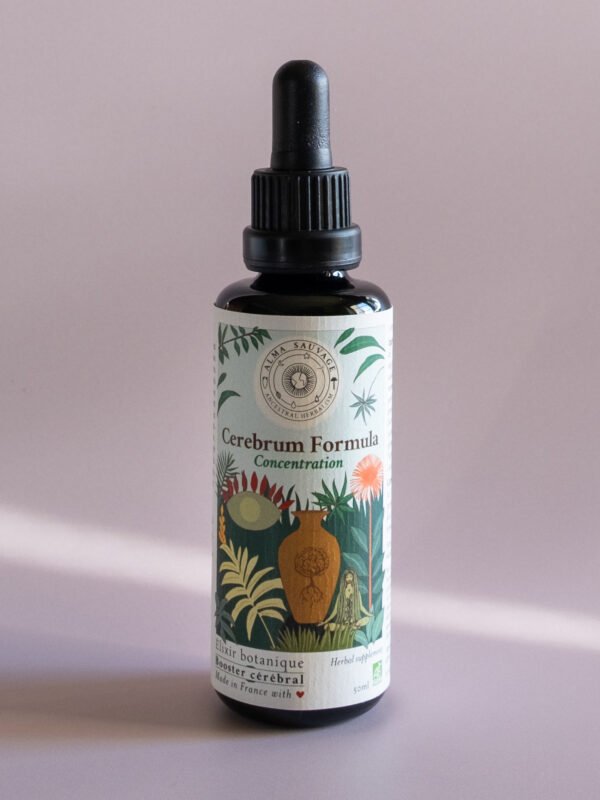 Booster cérébral Complément Alimentaire Concentration Booster cérébral Complément Alimentaire Concentration Elixir végétal cognitif Clarté mentale Mémoire Complexe Nootropique, gotu kola Centella asiatica brahmi Bacopa monnieri jiaogulan herbe de l'immortalité Gynostemma pentaphyllum tulsi basilic sacré Ocimum tenuiflorum sauge officinale Salvia officinalis sauge sclarée Salvia sclarea toronjil Mélisse Melissa officinalis