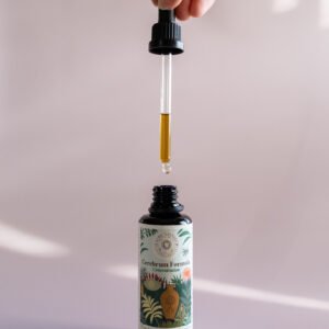 Booster cérébral Complément Alimentaire Concentration Elixir végétal cognitif Clarté mentale Mémoire Complexe Nootropique