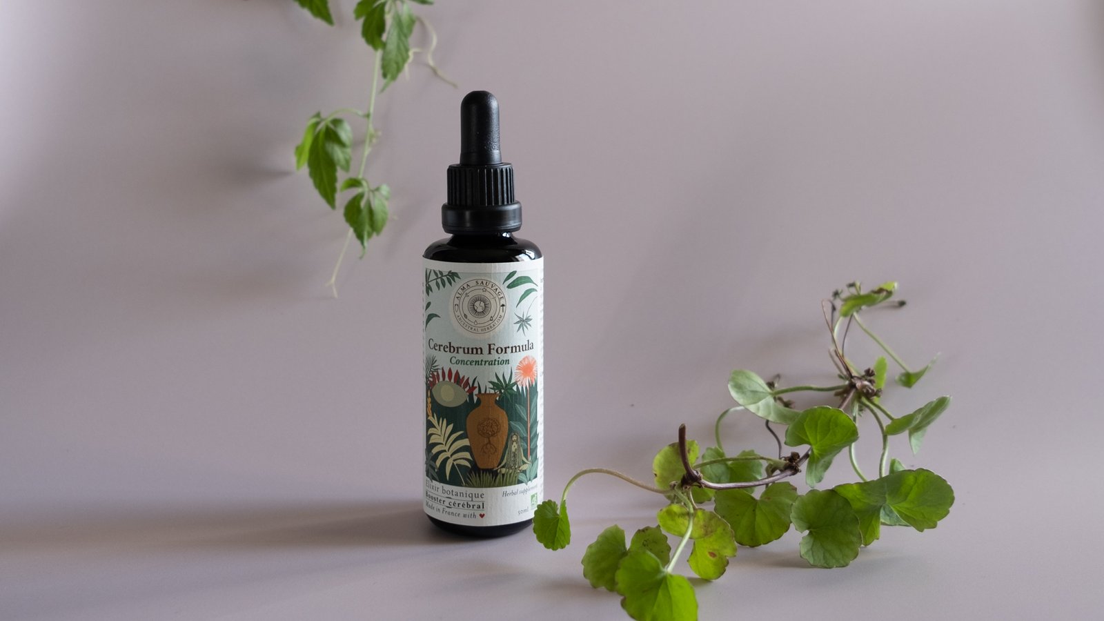 Booster cérébral Complément Alimentaire Concentration Elixir végétal cognitif Clarté mentale Mémoire Complexe Nootropique