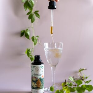 Booster cérébral Complément Alimentaire Concentration Elixir végétal cognitif Clarté mentale Mémoire Complexe Nootropique