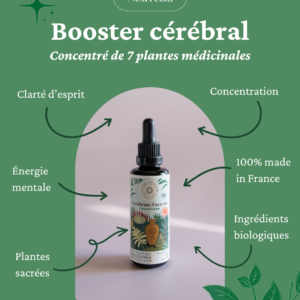 Booster cérébral Complément Alimentaire Concentration Elixir végétal cognitif Clarté mentale Mémoire Complexe Nootropique