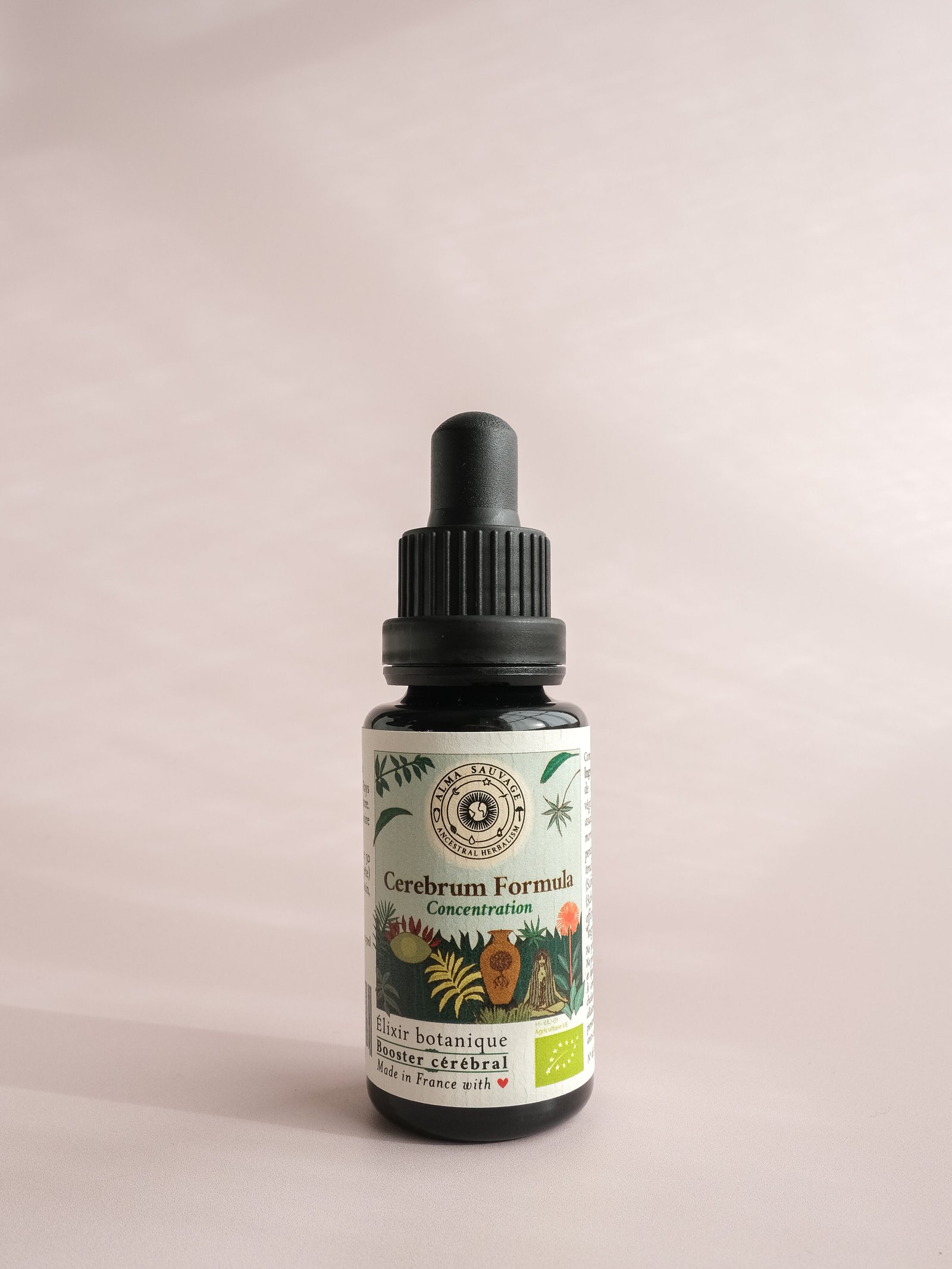 Concentration Mémoire Clarté Mentale, gotu kola Centella asiatica brahmi Bacopa monnieri jiaogulan herbe de l'immortalité Gynostemma pentaphyllum tulsi basilic sacré Ocimum tenuiflorum sauge officinale Salvia officinalis sauge sclarée Salvia sclarea toronjil Mélisse Melissa officinalis