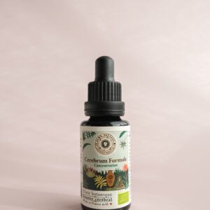 Concentration Mémoire Clarté Mentale, gotu kola Centella asiatica brahmi Bacopa monnieri jiaogulan herbe de l'immortalité Gynostemma pentaphyllum tulsi basilic sacré Ocimum tenuiflorum sauge officinale Salvia officinalis sauge sclarée Salvia sclarea toronjil Mélisse Melissa officinalis