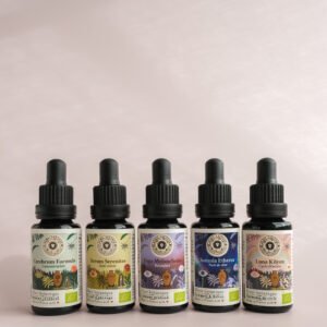 La collection d'élixirs bien-être | Format voyage