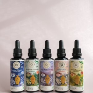 La collection d'élixirs bien-être | Grand format