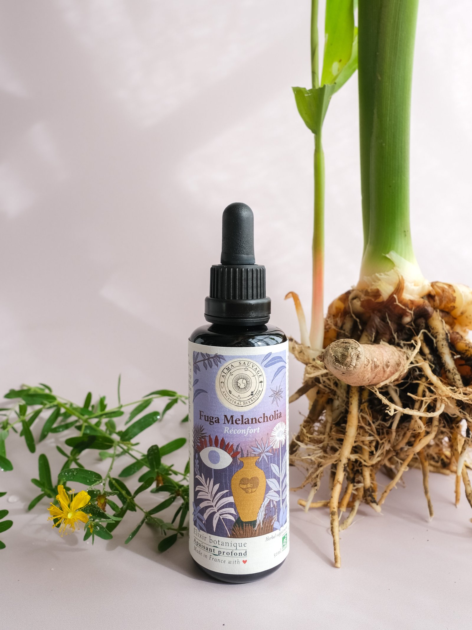 Anxiété Anti-dépresseur Angoisses profondes, millepertuis Hypericum perforatum toronjil Mélisse Melissa officinalis curcuma Curcuma longa passiflore Passiflora incarnata cedrón verveine citronnelle Aloysia citrodora mao bo he cataire Nepeta cataria scutellaire skullcap Scutellaria lateriflora