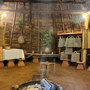 Formation Médecine Traditionnelle du Chili | Cosmovisions, rituels, plantes médicinales & remèdes