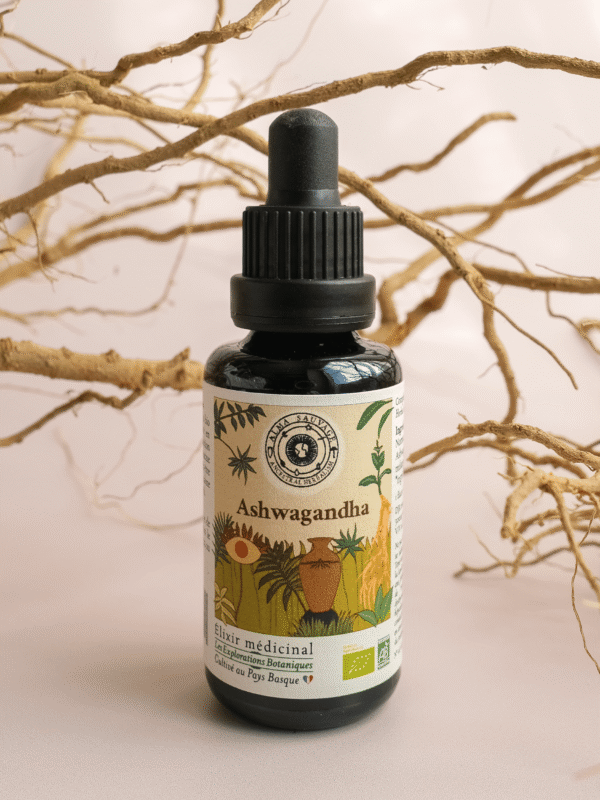 Ashwagandha Extrait pur d'Ashwagandha | Cultivé au Pays Basque