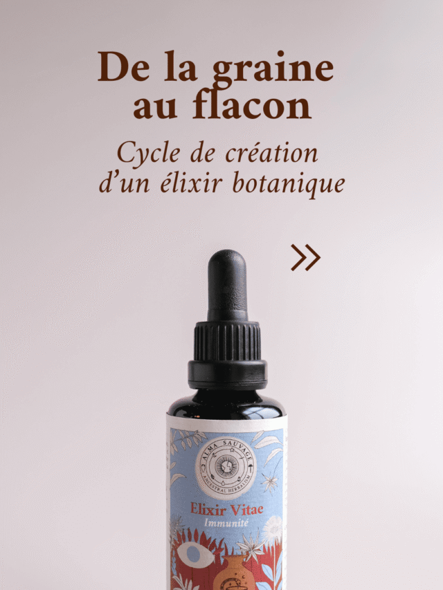 Elixir Vitae