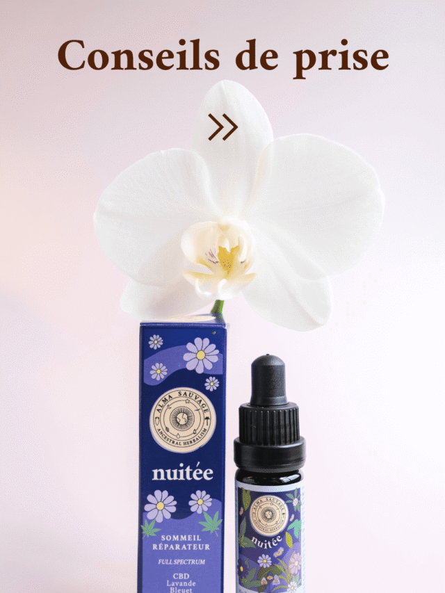 Nuitée CBD