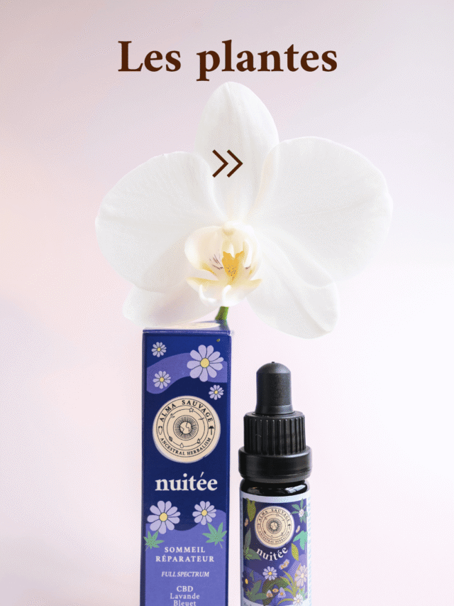 Nuitée CBD