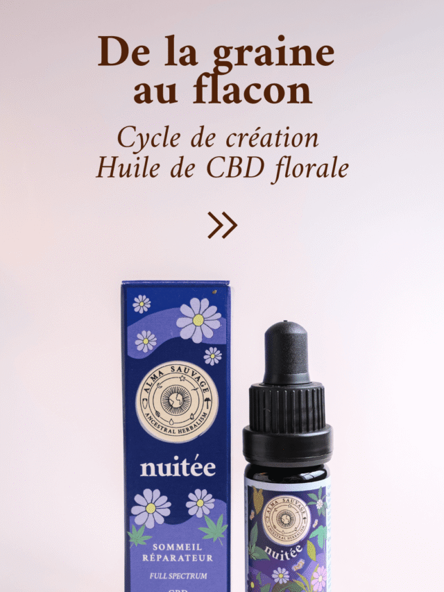 Nuitée CBD