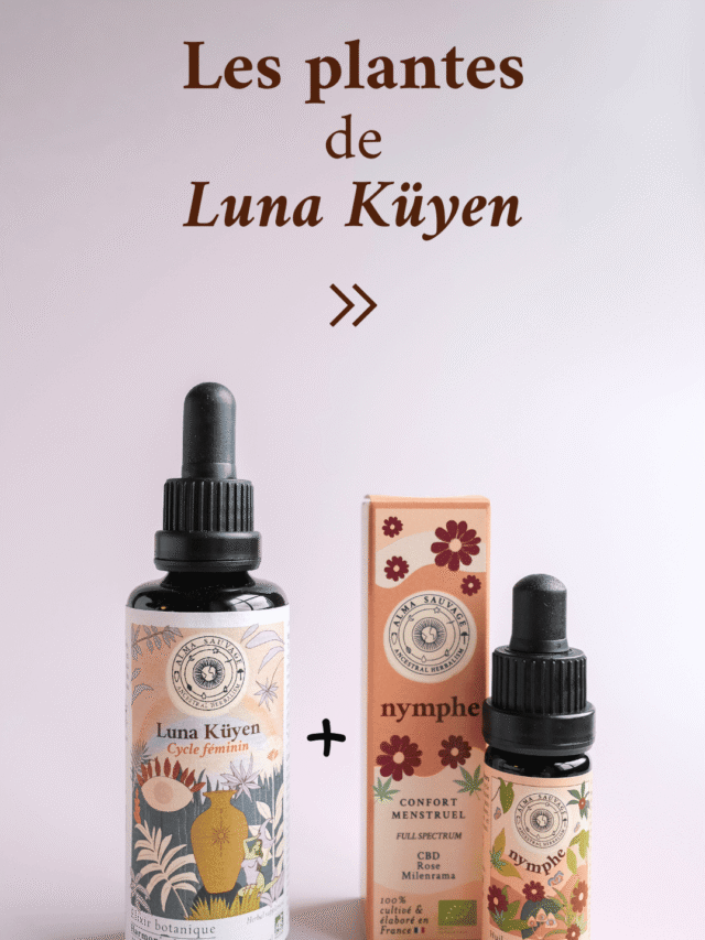 Routine complète cycle féminin Luna Küyen Nymphe