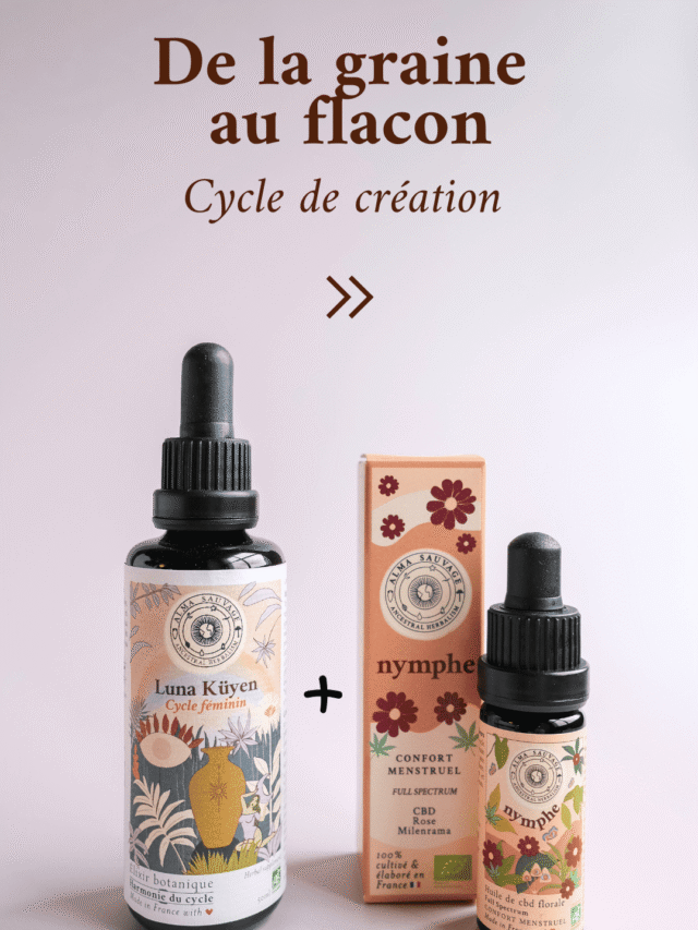 Routine complète cycle féminin Luna Küyen Nymphe