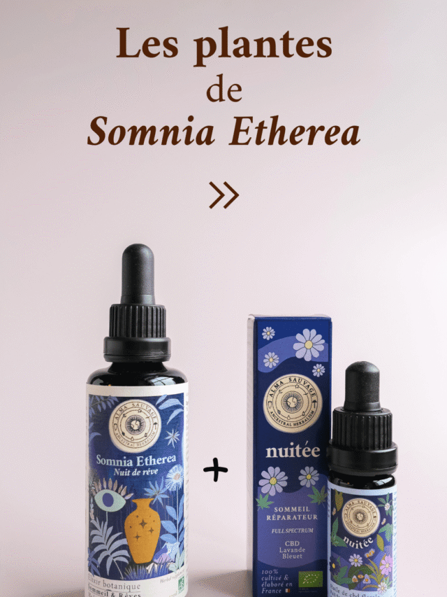 Routine complète sommeil Somnia Etherea Nuitée