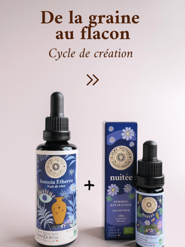 Routine complète sommeil Somnia Etherea Nuitée